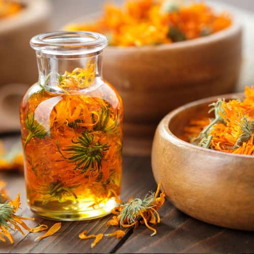 Calendula Extract
