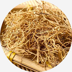 Cynanchum paniculatum (Bge.) Kitag