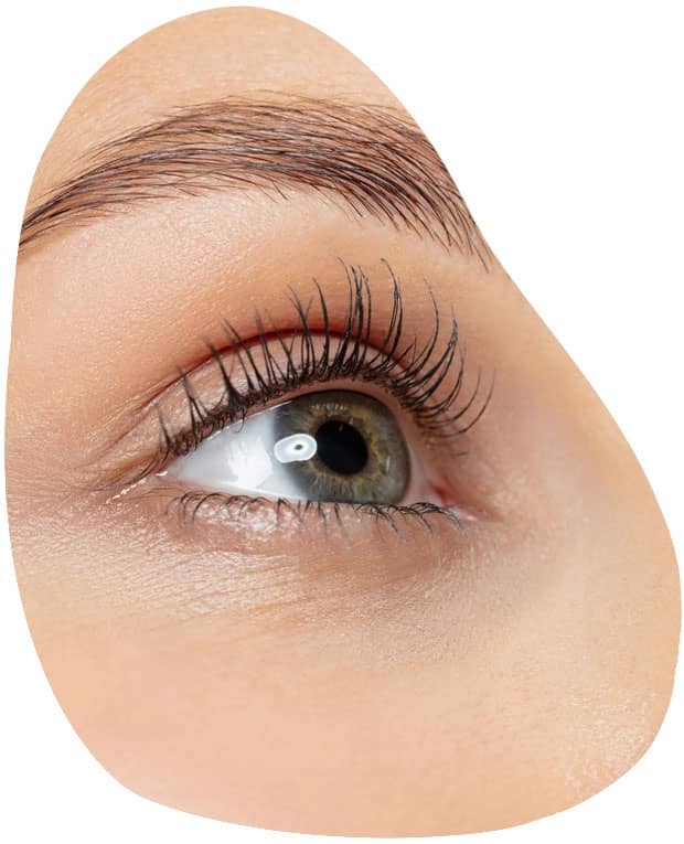 Lift, Curl & Define Your Lashes