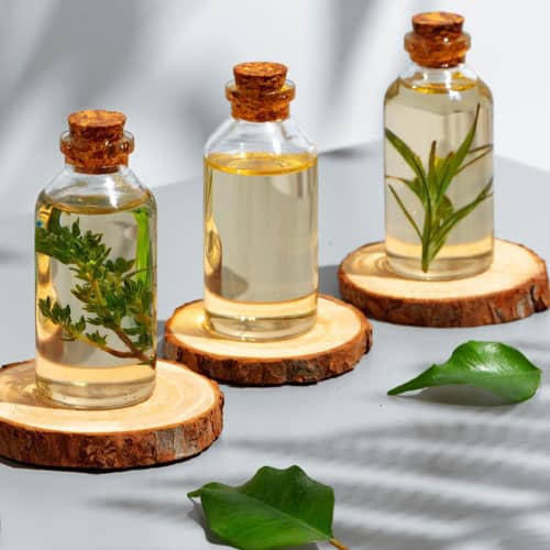 Natural Extracts (such as Green Tea and Aloe Vera)